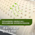 MIT 乳膠枕 l 人體工學曲線乳膠枕 l 頸部零壓力 l 防螨抗菌_5