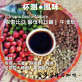 行家精選【 衣索比亞 藝伎村】日曬 | 中淺焙 (精緻極鮮罐裝)_1