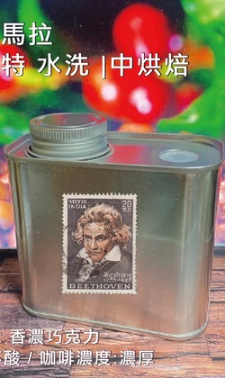 經典單品 【瓜地馬拉 微微特南果風味】水洗 | 中烘焙 (精緻極鮮罐裝)