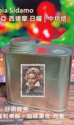 經典單品 【衣索比亞 西達摩】日曬 | 中烘焙 (精緻極鮮罐裝)