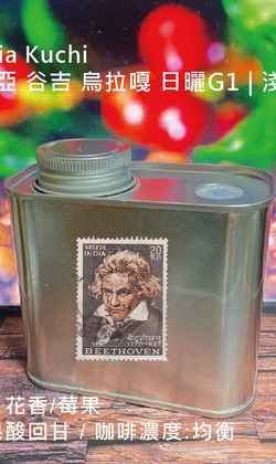 莊園單品 【衣索比亞 谷吉 烏拉嘎】日曬G1  | 淺烘焙 (精緻極鮮罐裝)