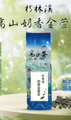 杉林溪奶香金萱茶300g/包 冷泡茶 台灣阿里山茶 (台茶12號) 高山茶 茶葉 金萱冷泡菁茶 冷熱皆可