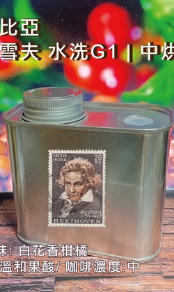 經典單品 【衣索比亞 耶加雪夫】水洗G1 | 中烘焙 (精緻極鮮罐裝)