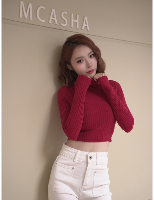 高領坑條雙面磨毛胸墊短版上衣 (5色)