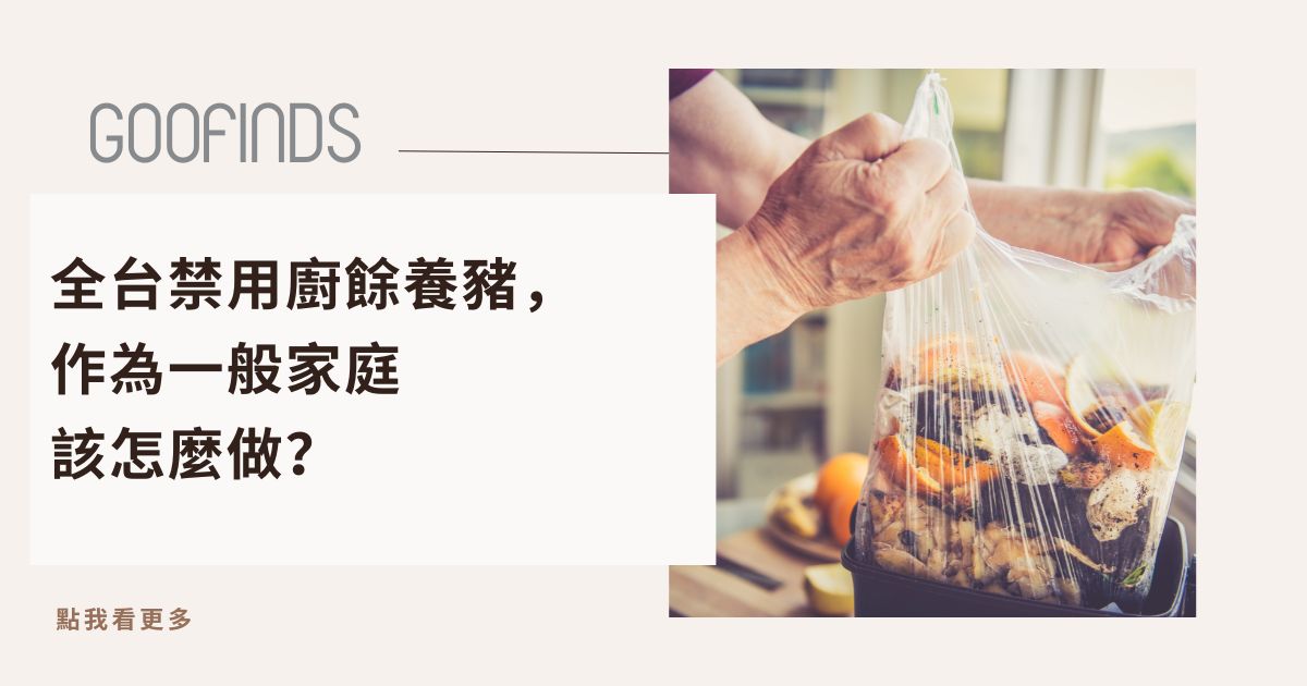 全台禁用廚餘養豬後，家庭該怎麼做？從防疫到環保，廚餘處理新時代開始了