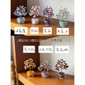 小鑽杯發財樹