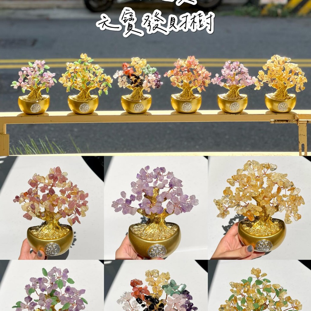 招財進寶元寶發財樹