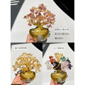 招財進寶元寶發財樹_1