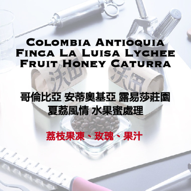 哥倫比亞 安蒂奧基亞 露易莎莊園 夏荔風情 水果蜜處理（1/4磅 or 113.5g）