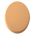 A02粉底專用海綿_1