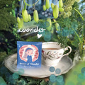 日本 Karel Capek 山田詩子紅茶店 小茶包 - sense of wonder 南非國寶茶 5入_2
