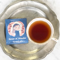 日本 Karel Capek 山田詩子紅茶店 小茶包 - sense of wonder 南非國寶茶 5入_1