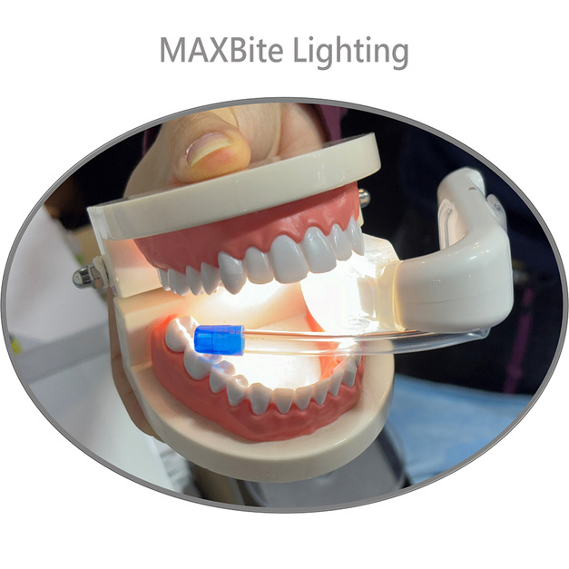 MAXBite lighting