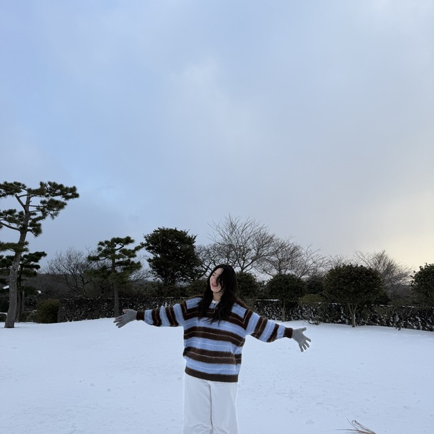 藍棕橫條襯衫毛衣 LS31