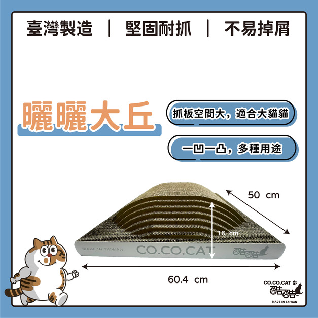 【CO.CO.CAT酷酷貓】曬曬大丘