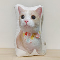 [客製] 貓咪抱枕 / 寵物抱枕_5