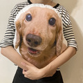 [客製] 狗狗抱枕 / 寵物抱枕_1