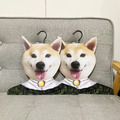 [客製] 寵物衣架 貓咪 狗狗 衣架_1
