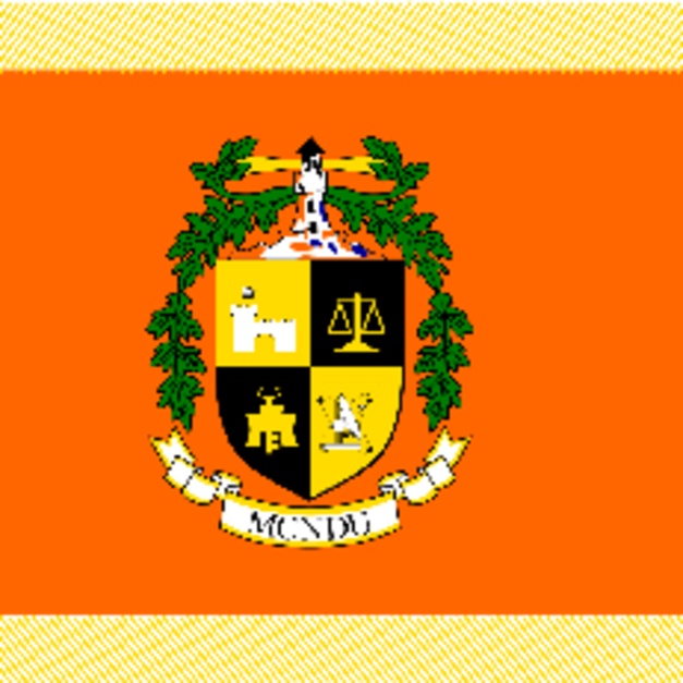 國防大學管理學院院旗