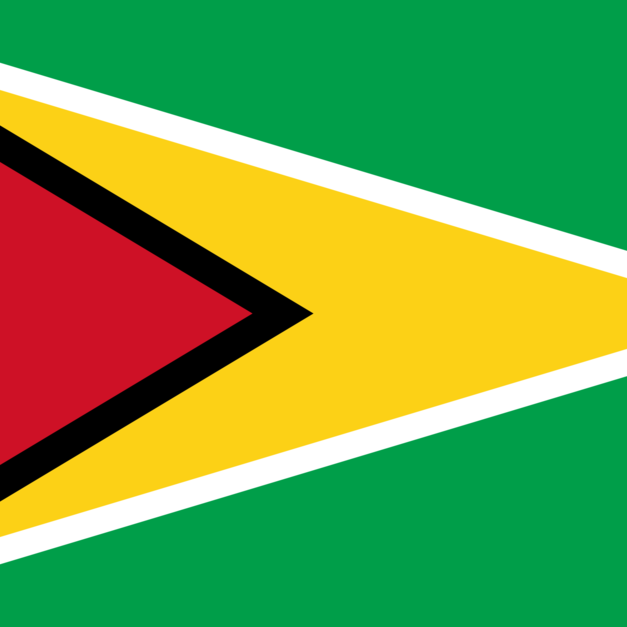 法屬圭亞那國旗 FRECH GUYANA