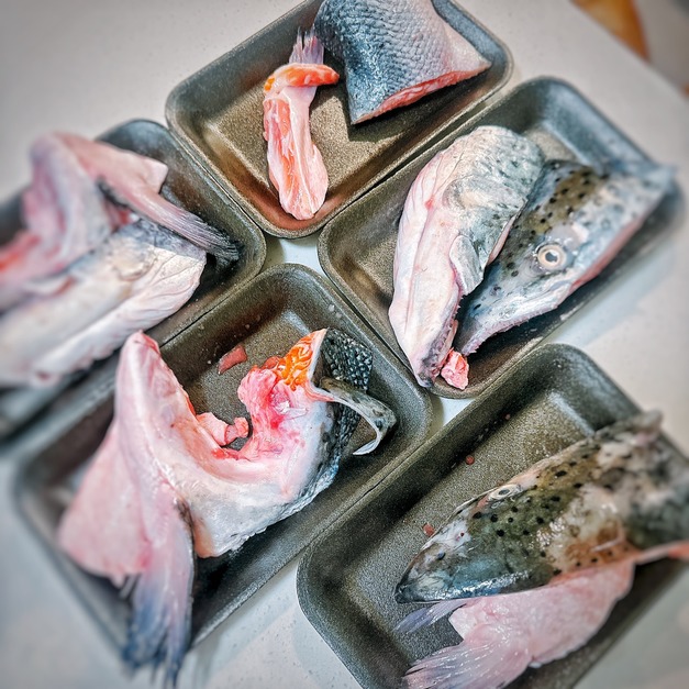 鮭魚頭尾