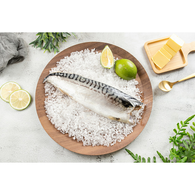 挪威鯖魚