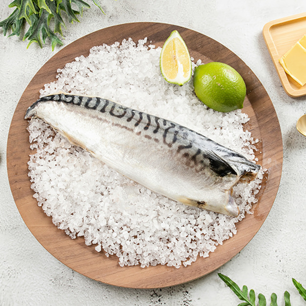 挪威鯖魚