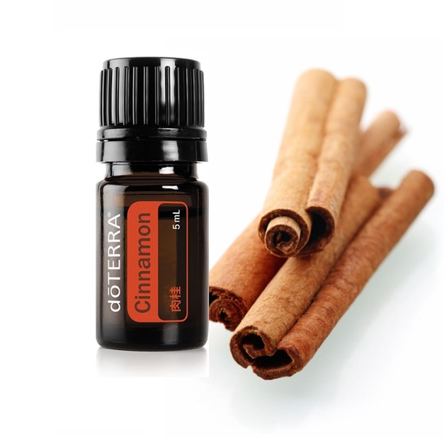 肉桂精油   Cinnamon