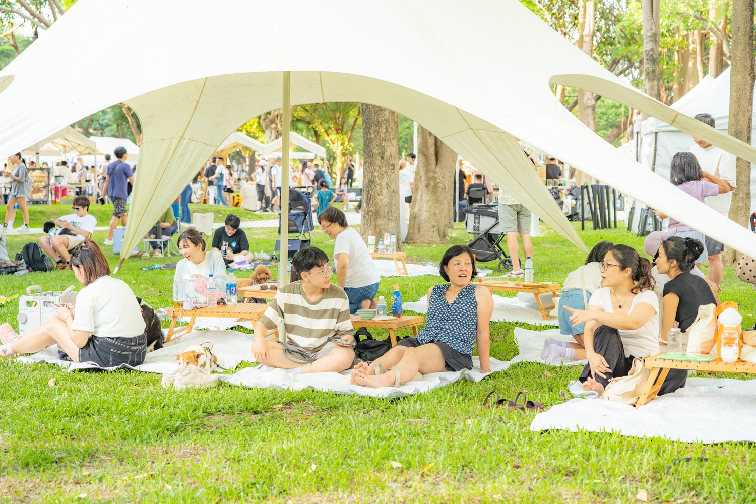 竹北市西公園寵物市集 3