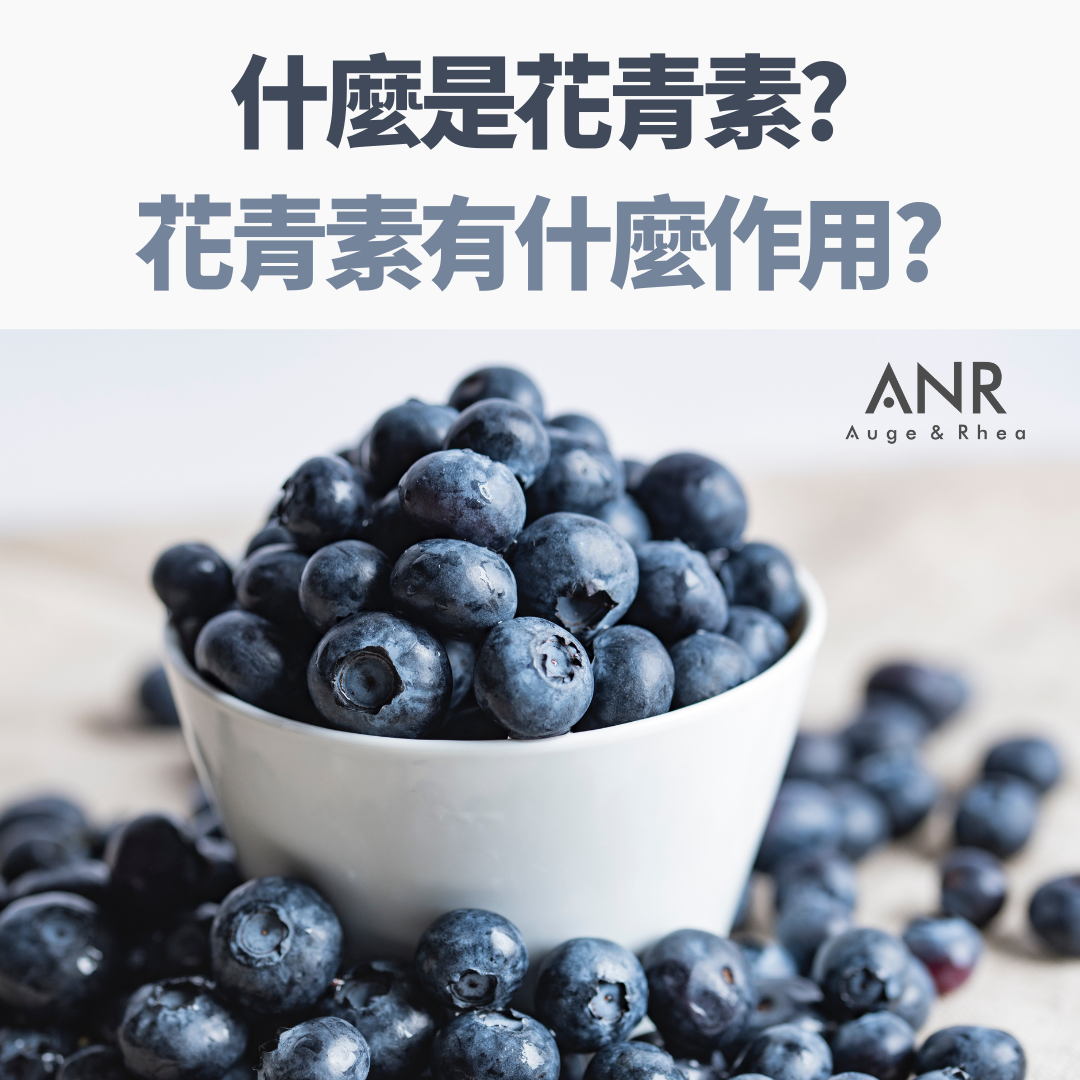 花青素是什麼? 花青素有什麼作用?