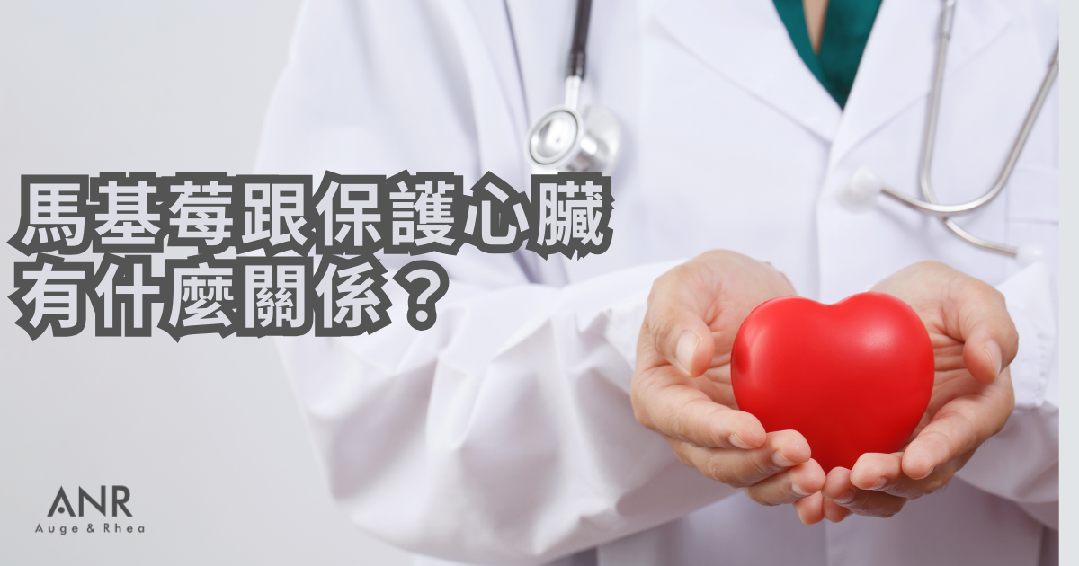 心臟疾病風險年年升高，常吃馬基莓有助預防 ?