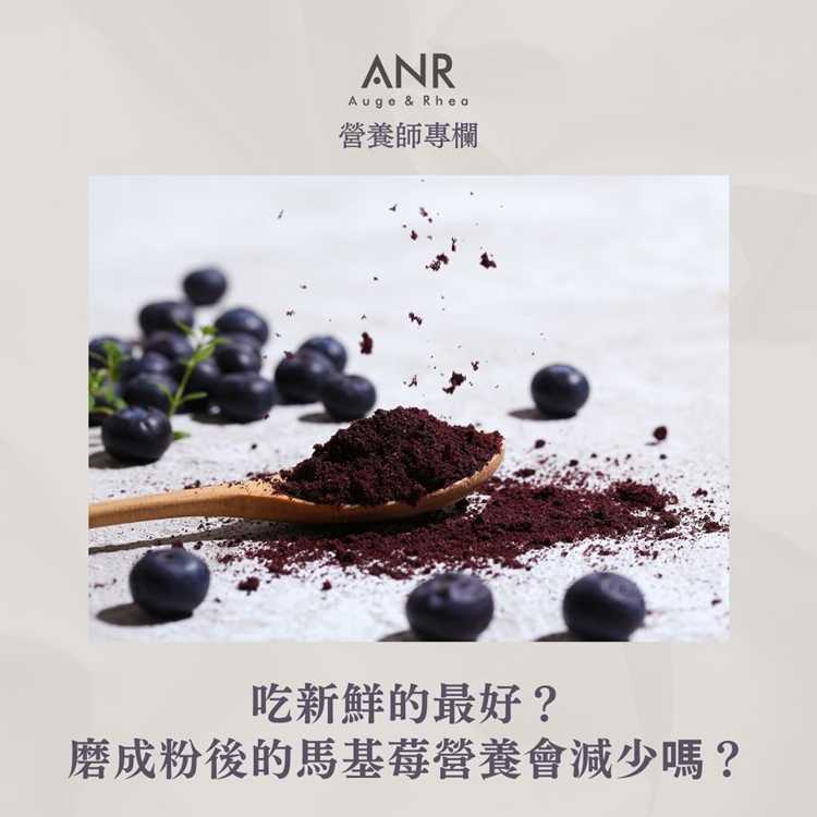 吃新鮮的最好？冷凍乾燥磨成粉的馬基莓粉營養會減少嗎？