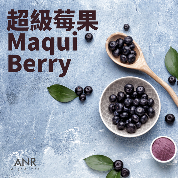 什麼是馬基莓果(又稱智利酒果)