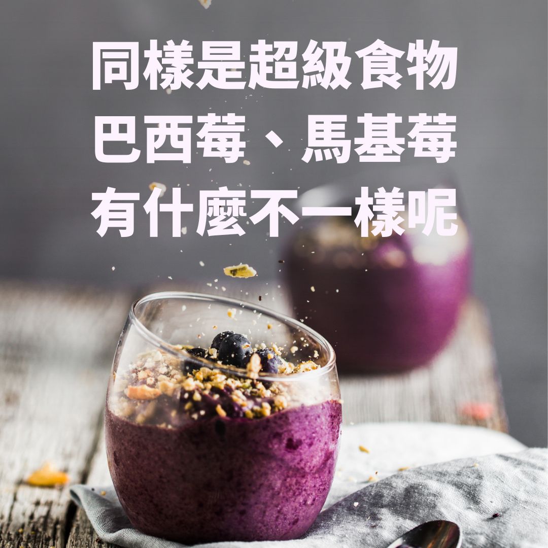 同樣是超級食物， 巴西莓、馬基莓有什麼不同?