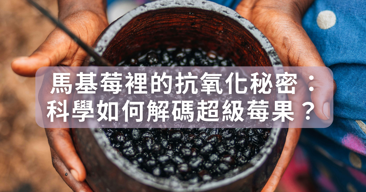 🍇 馬基莓裡的抗氧化秘密：科學如何解碼超級莓果？