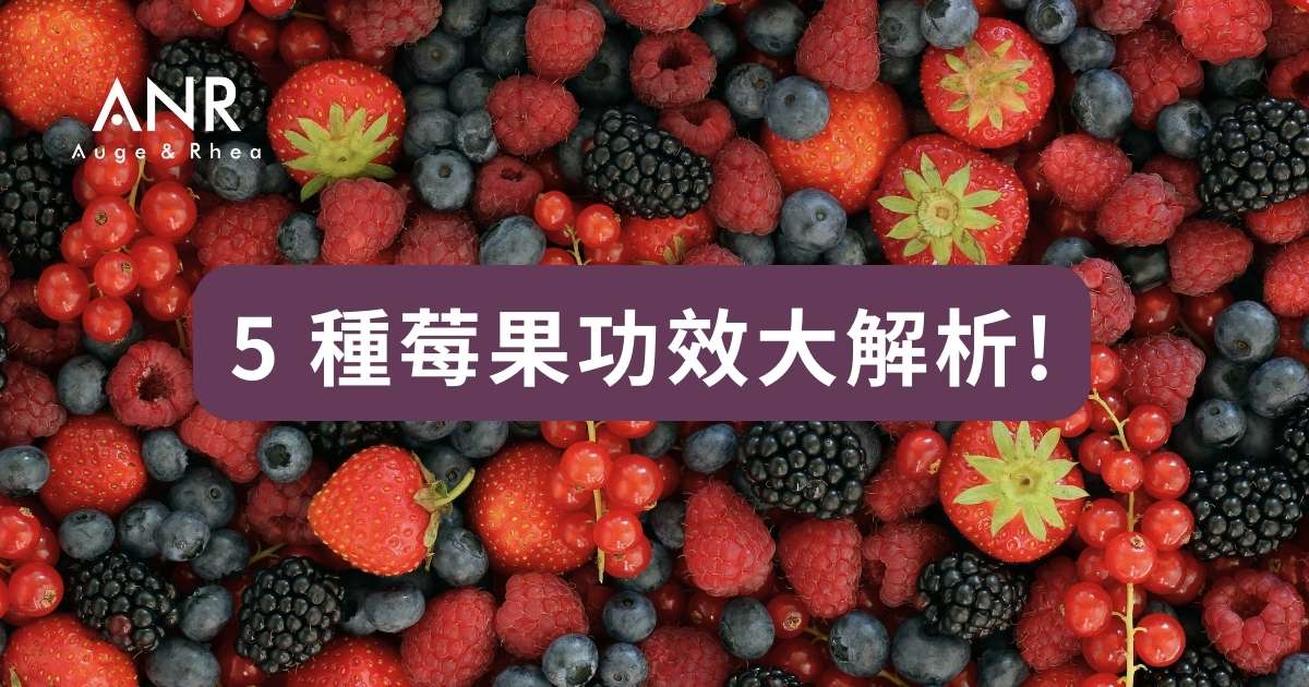 常聽說要多吃莓果，但莓果究竟有什麼作用？5 種莓果功效大解析!