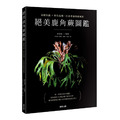 《絕美鹿角蕨圖鑑: 基礎知識×特色品種, 打造專屬綠植風格》