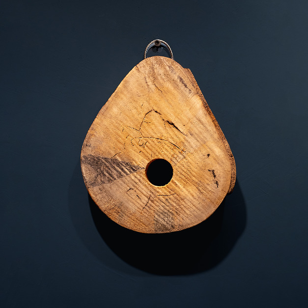 No.001鵝掌柴厚切原木片X植物上板用