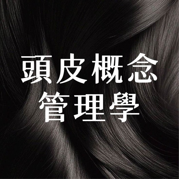 頭皮概念管理學