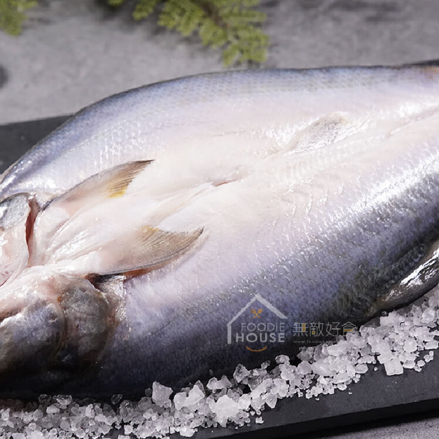 (金基師)薄鹽午仔魚一夜干【200g/尾 (200g ~ 230g)】