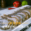 泰國活凍白蝦【500g/盒，約26~30尾】