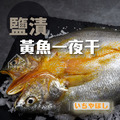 薄鹽黃魚一夜干【250g/尾】