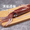 頂級透抽【120g/尾】★團購請選我★