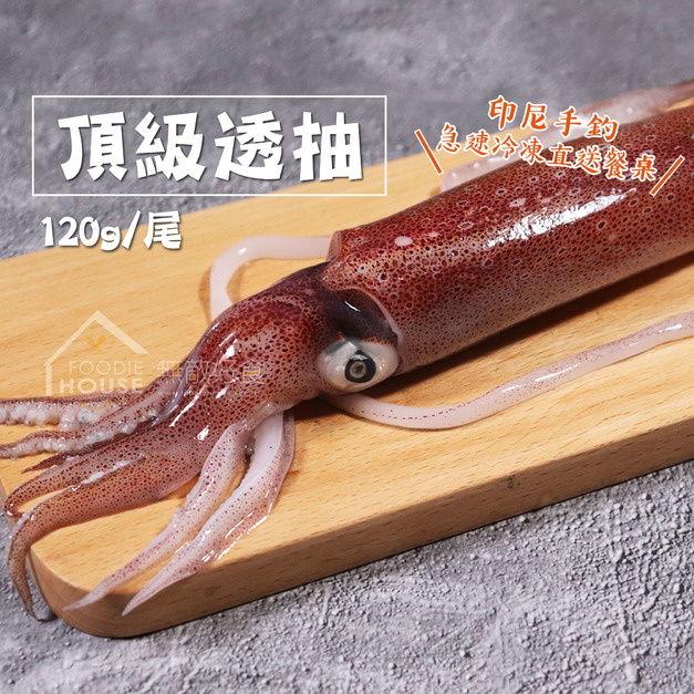 頂級透抽【120g/尾】★團購請選我★