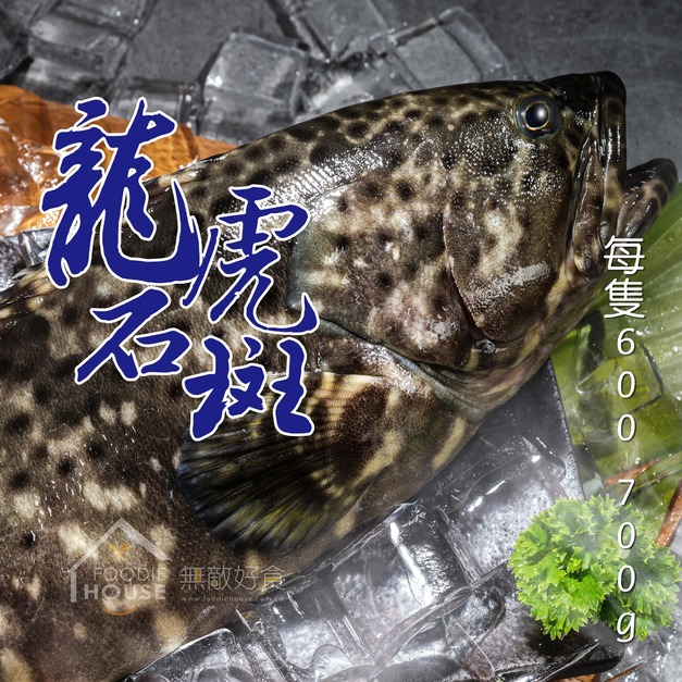 台灣龍虎石斑 【600/700g】公司挺漁民，優惠賣☻87折單尾優惠價☻