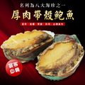 厚肉帶殼鮑魚【1kg/包 (14粒入)】