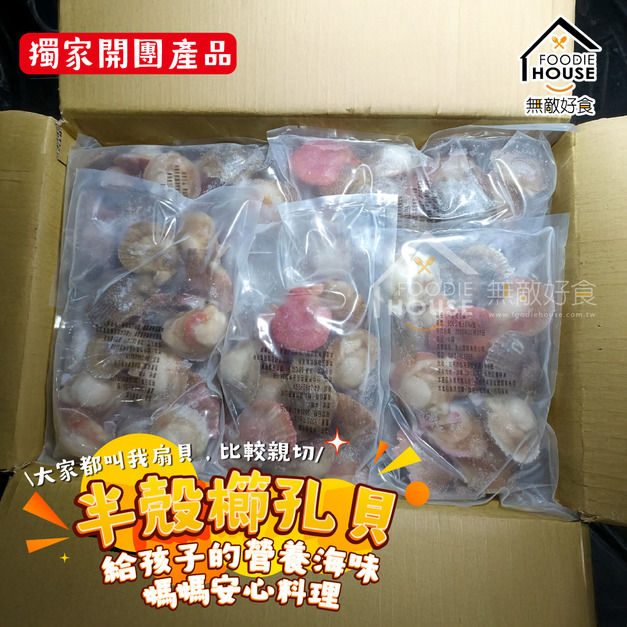 半殼櫛孔貝6/7【500g】⭐️三包550元⭐️