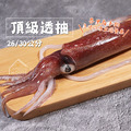 ⏰食光賞味期⏰2026/6/27 峇里島2號手釣透抽【26/30公分】☻4折單尾優惠價☻