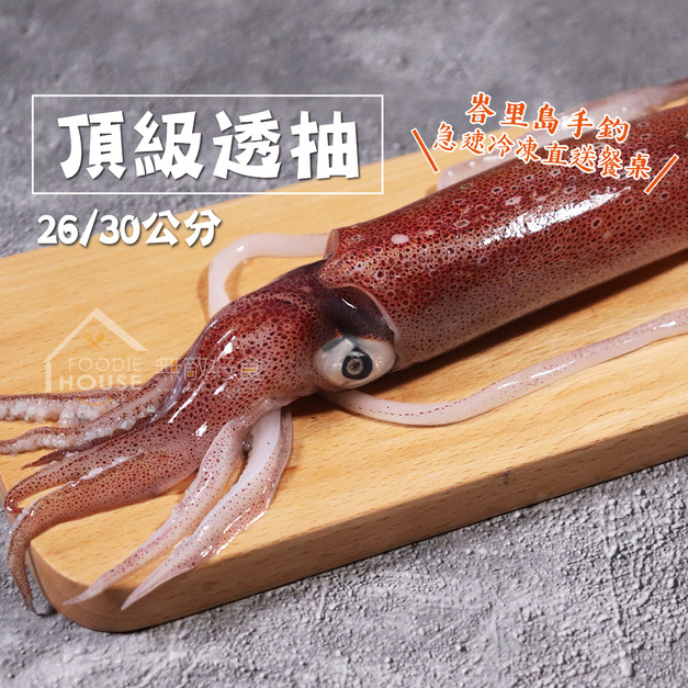 ⏰食光賞味期⏰2026/6/27 峇里島2號手釣透抽【26/30公分】☻4折單尾優惠價☻
