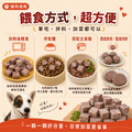 毛孩御用｜來至美國的100%骰子純牛肉泥｜老闆家毛小孩金愛ㄐㄧㄚˇ【3*3cm，1000g/包】_2